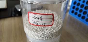 分子筛样品